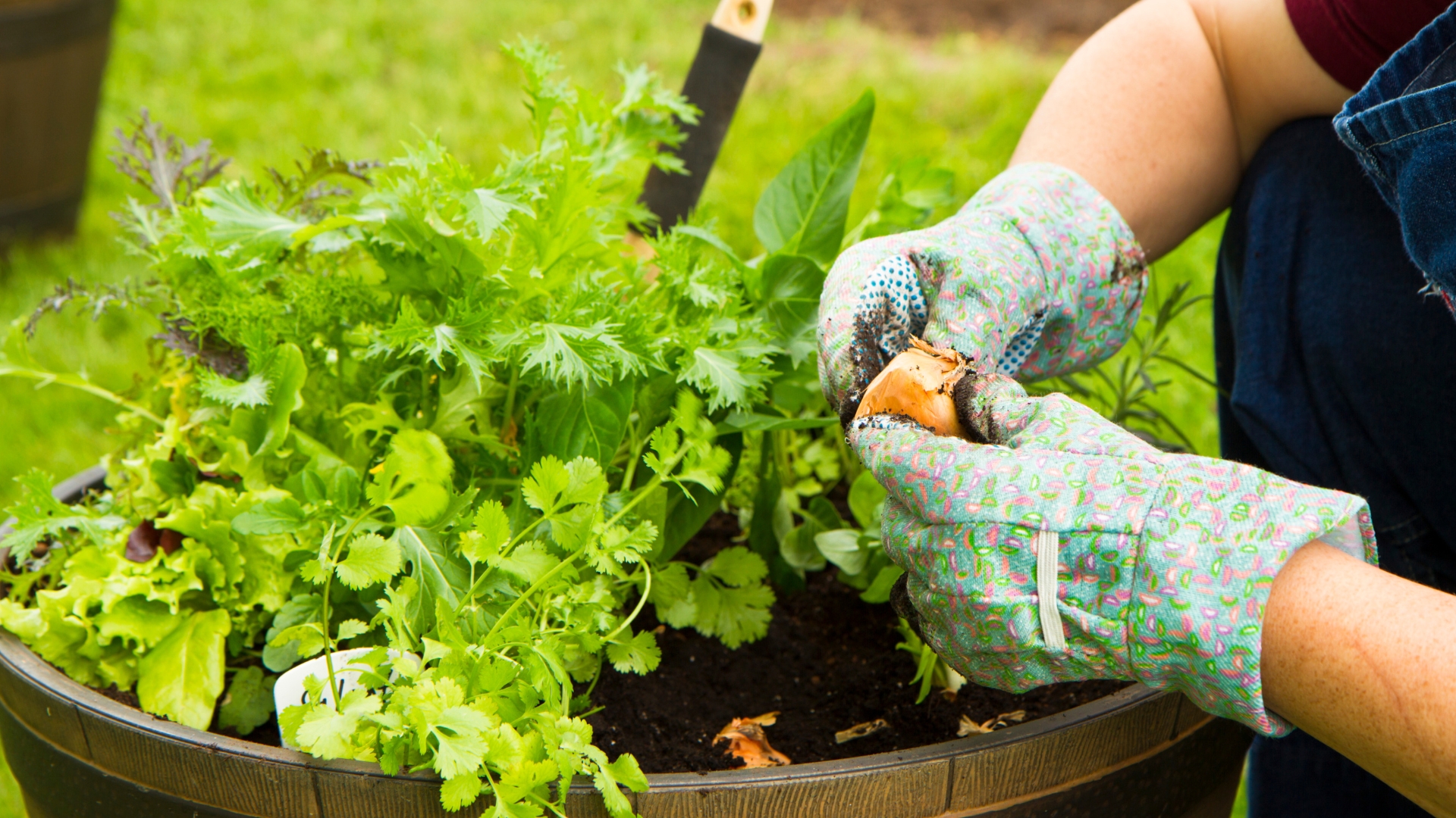 30 Vegetables To Grow This Spring So Effortless, You’ll Wonder Why You Waited (Plus A Few More To Try)