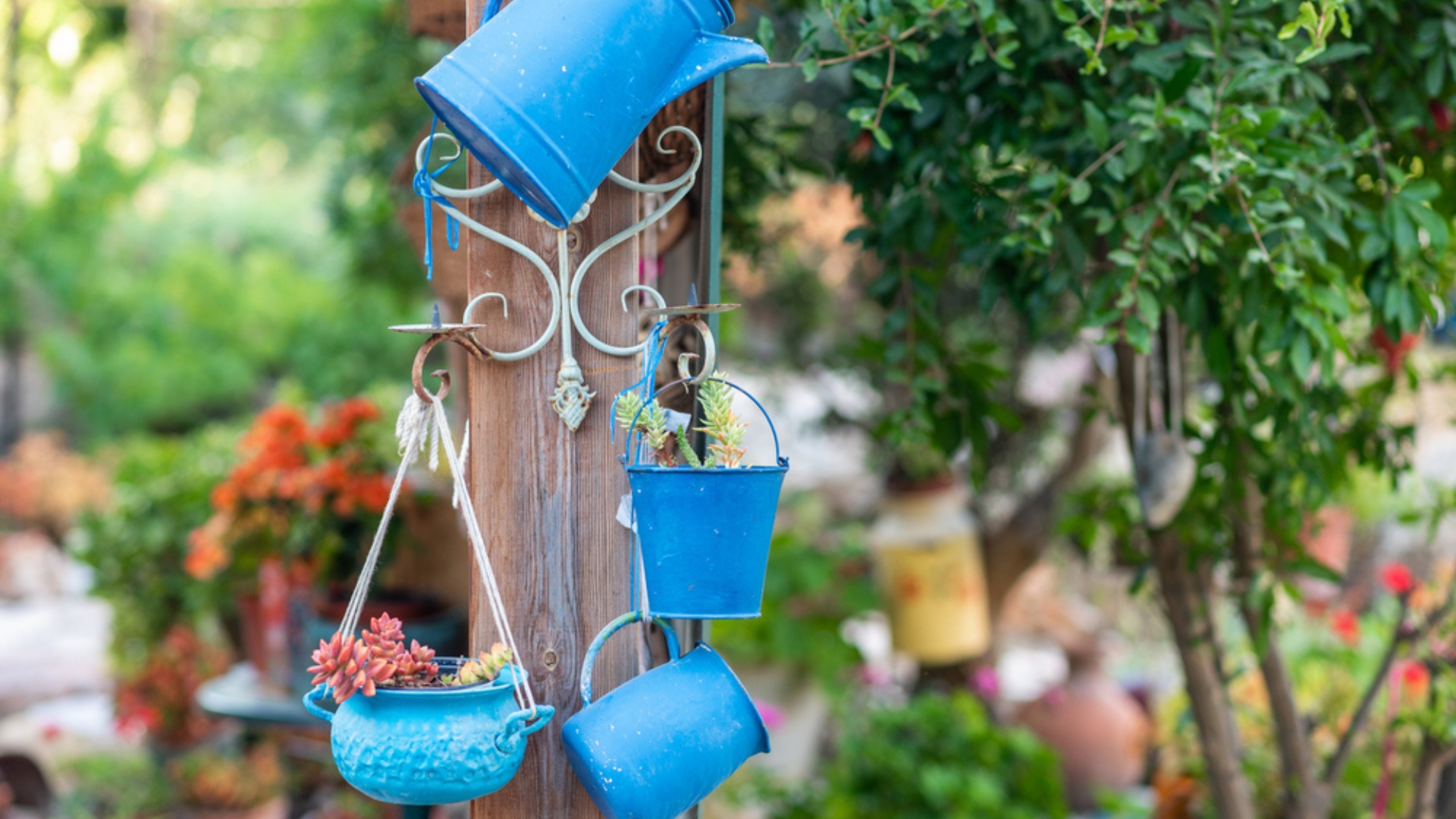 repurposed tea pots and cans
