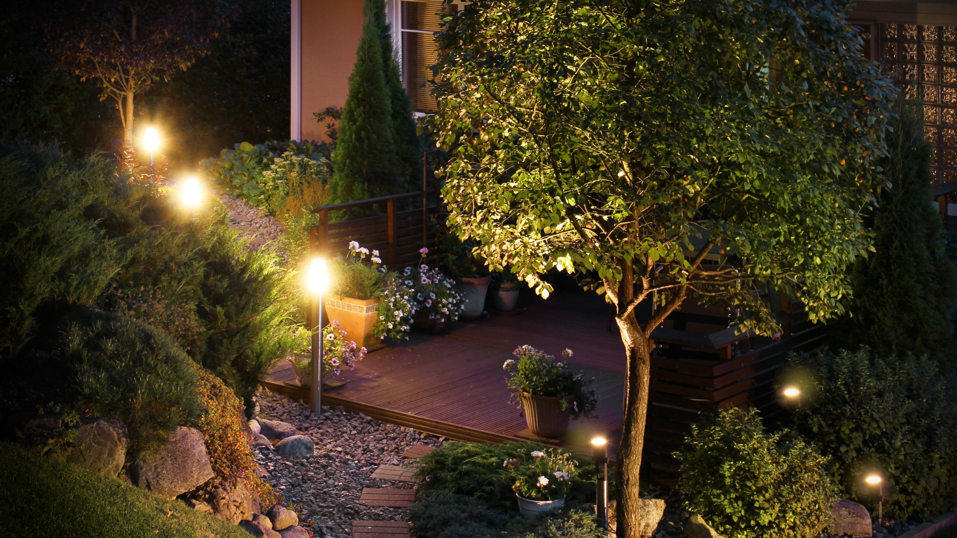 Backyard