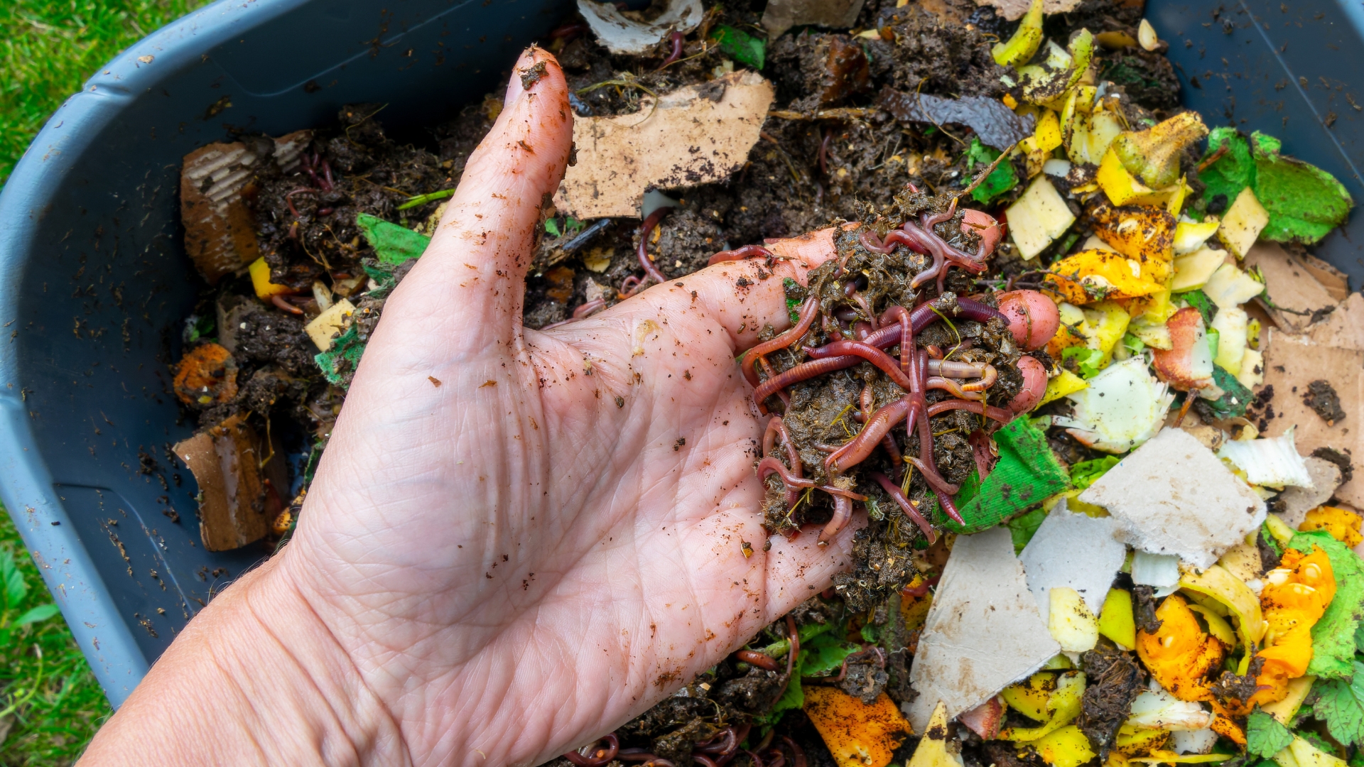 8 Things That Speed Up Composting (And 8 That Bring It To A Halt)