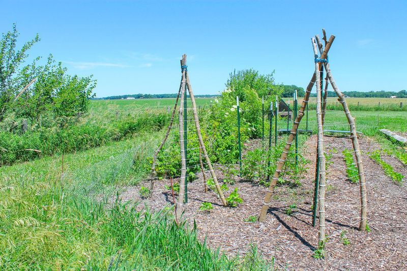 Teepee Trellis