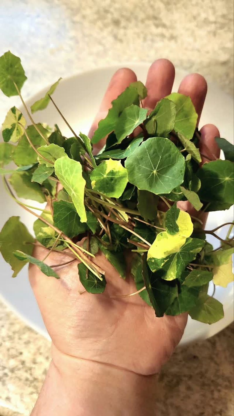Trim Back Excess Foliage
