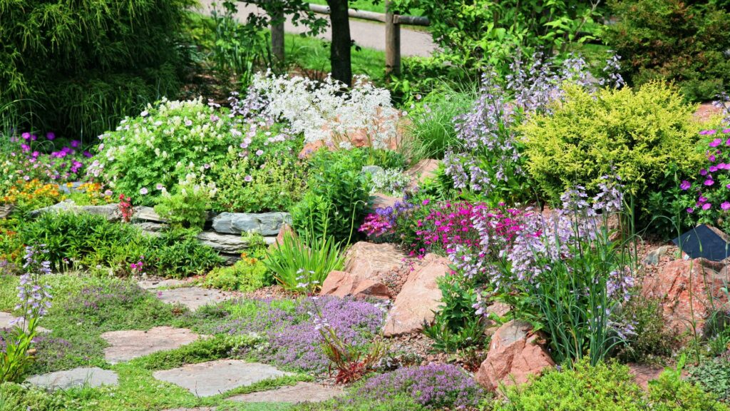 Alpine Rock Garden