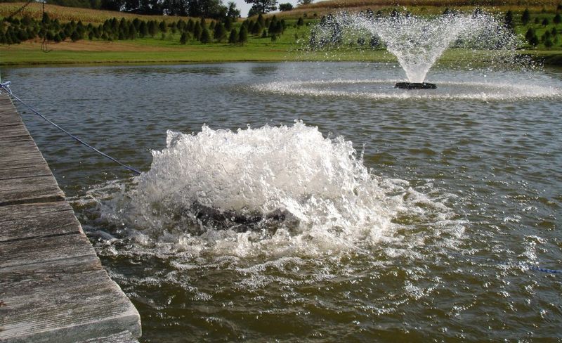 Install Water Aerators