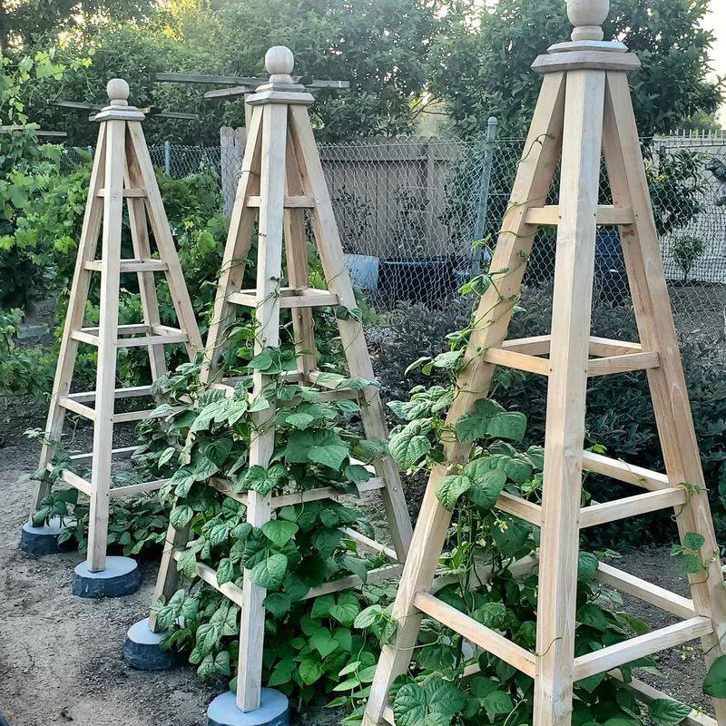 Rustic Ladder Trellis