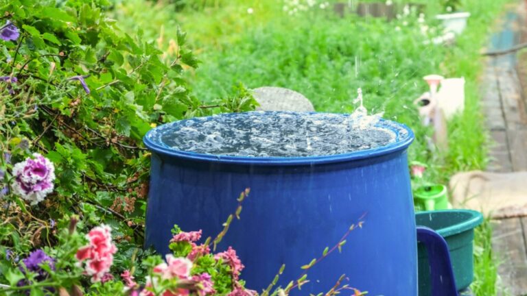 rain barrel