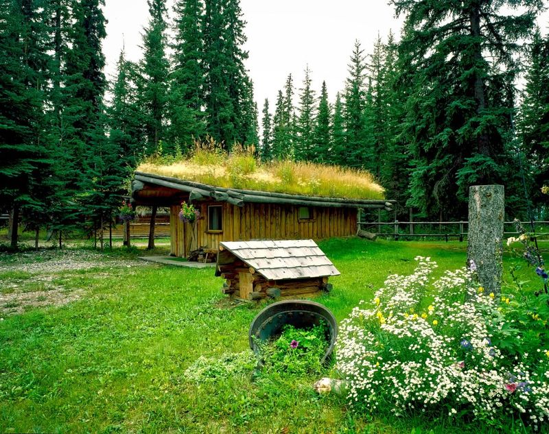 Install A Wildflower Roof