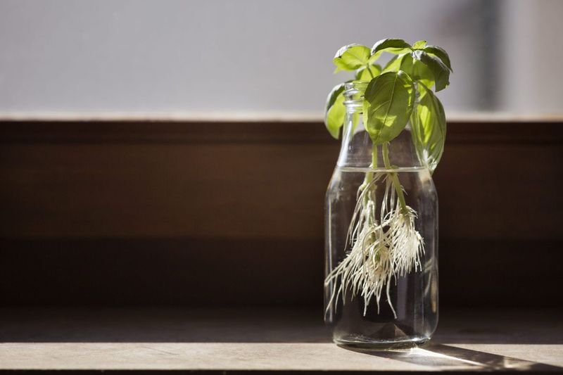 Use A Balanced Fertilizer