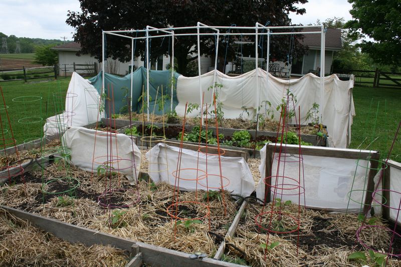 Use Windbreaks