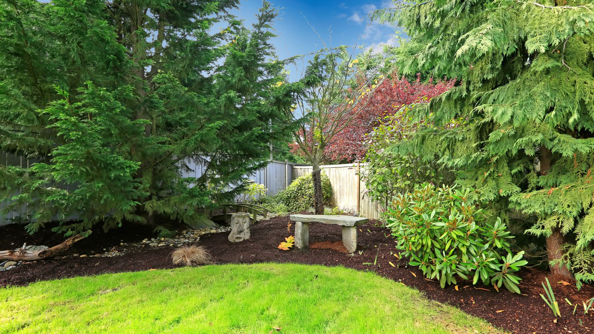 backyard oasis