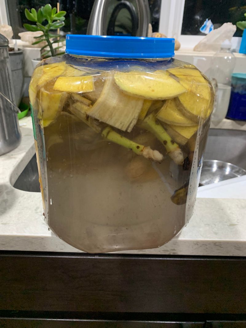 Banana Peel Compost Tea