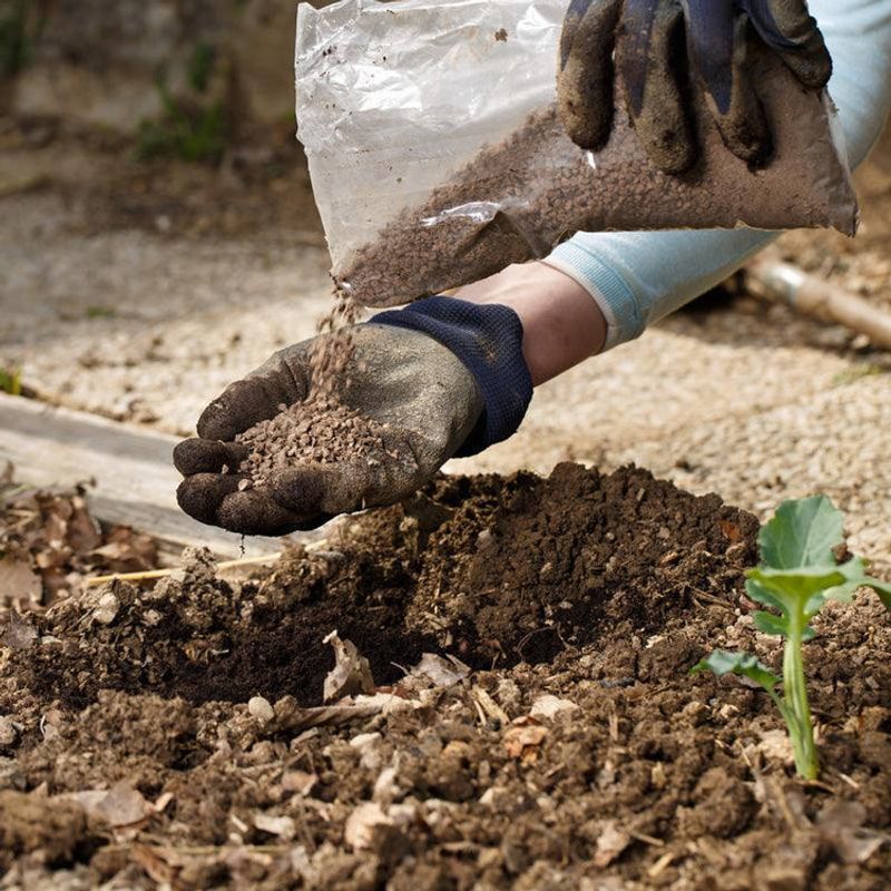 Soil Amendments