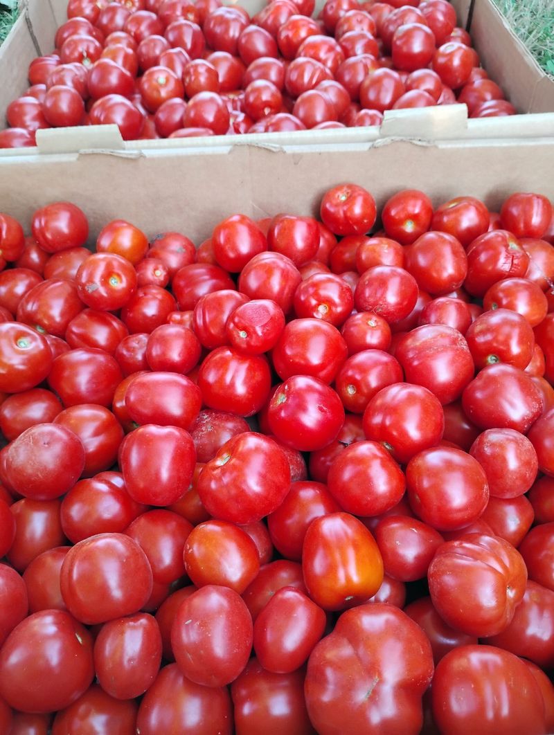 Heinz 2653