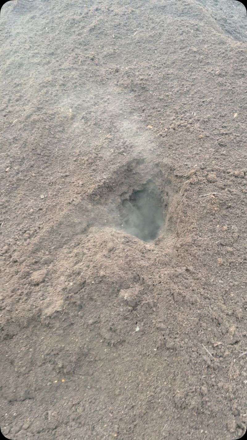 Microbes Decompose Organic Matter
