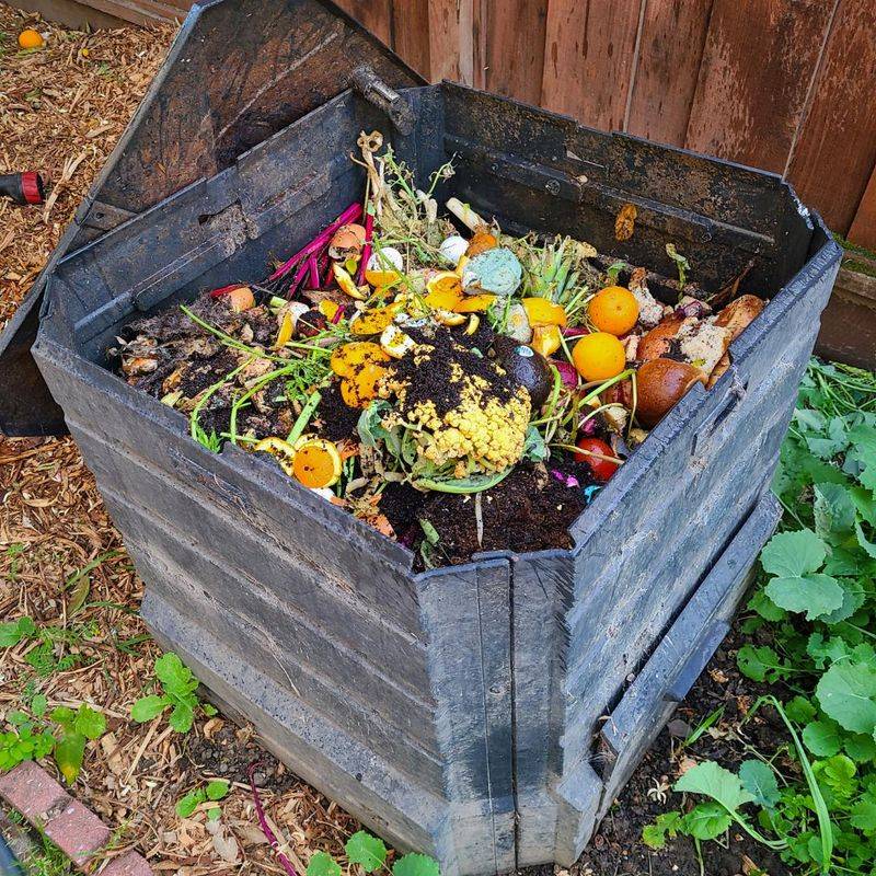 Compost Kitchen Scraps