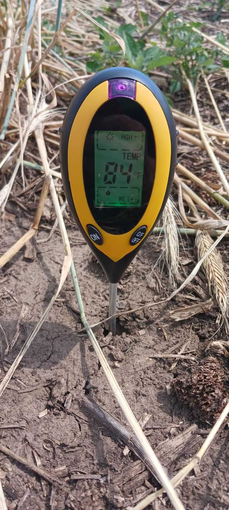 Cover Crops
