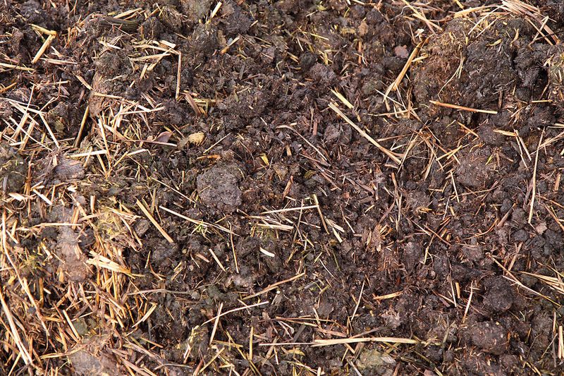 Organic Matter Addition