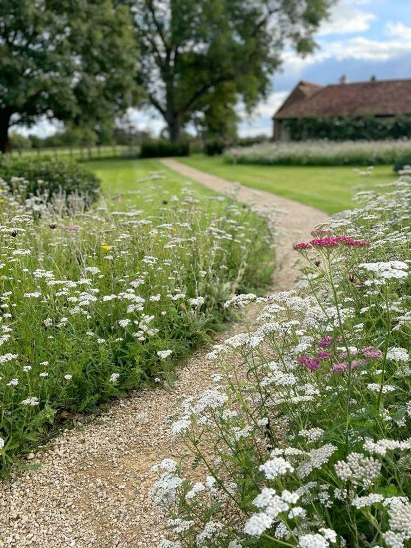 Design A Wildflower Pathway