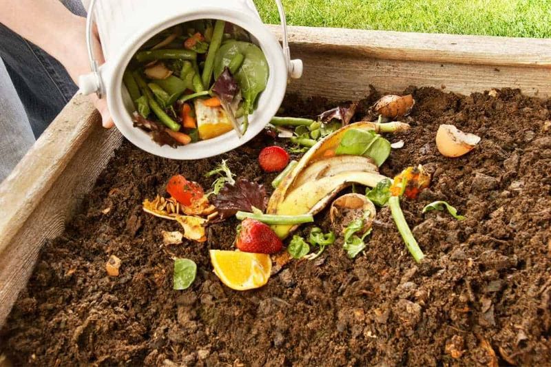 Composting Kitchen Scraps