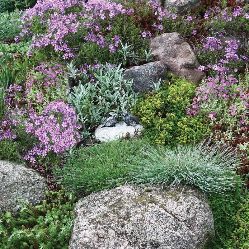 Ground Covers (Like Creeping Jenny or Ajuga) – Replaced Needy Lawn Areas
