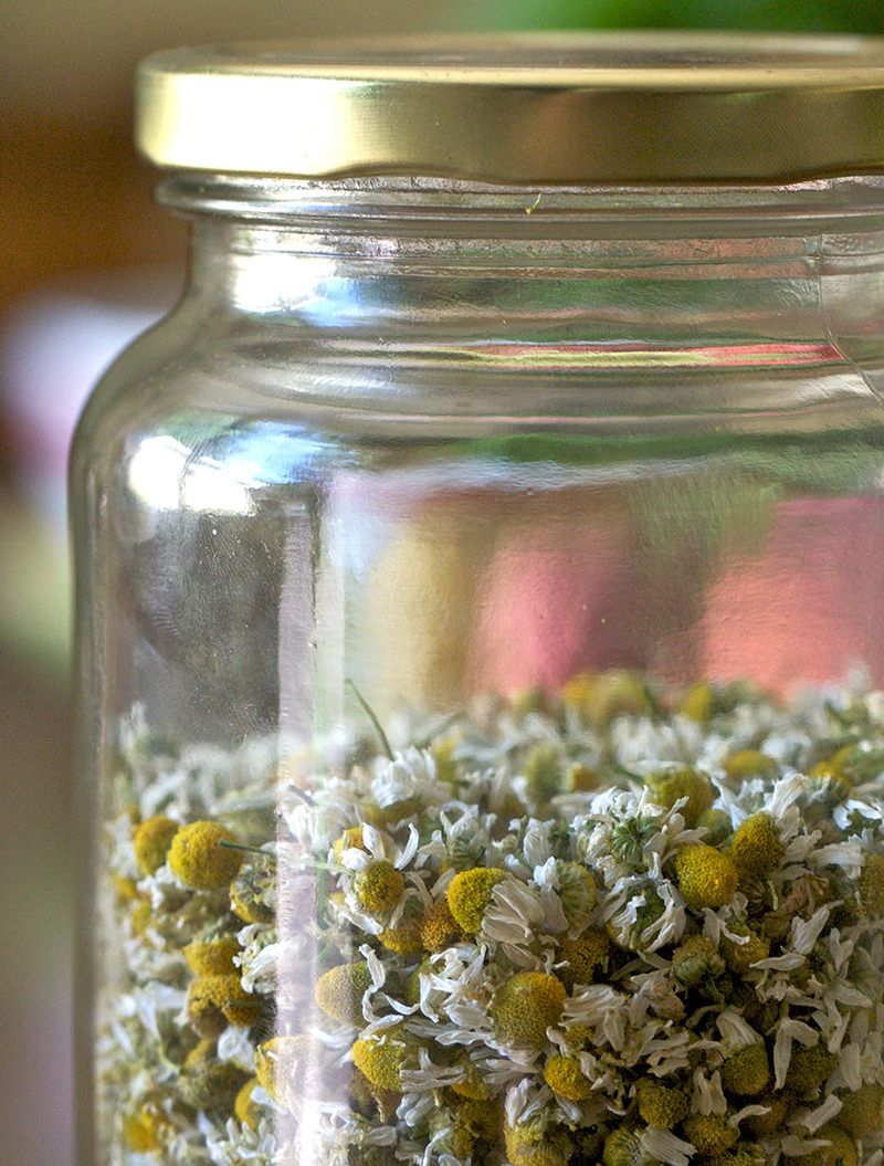 Store Dried Flowers