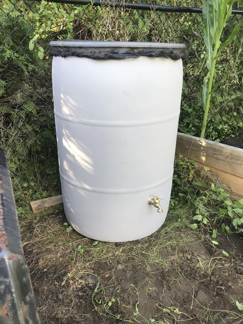 Rain Barrel System