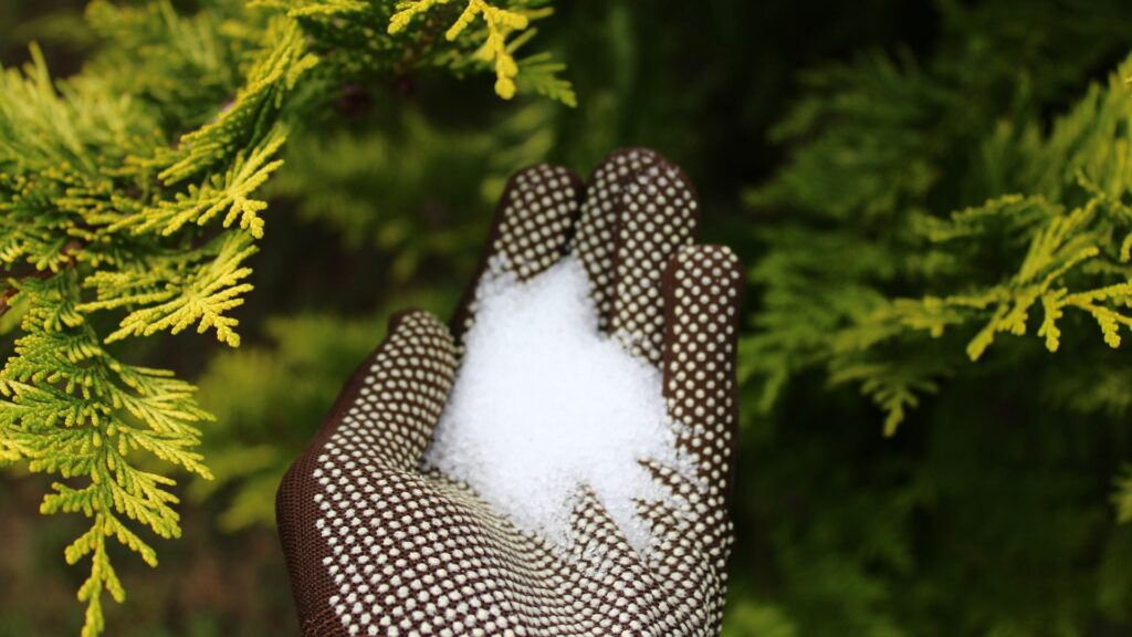 epsom salt in hand