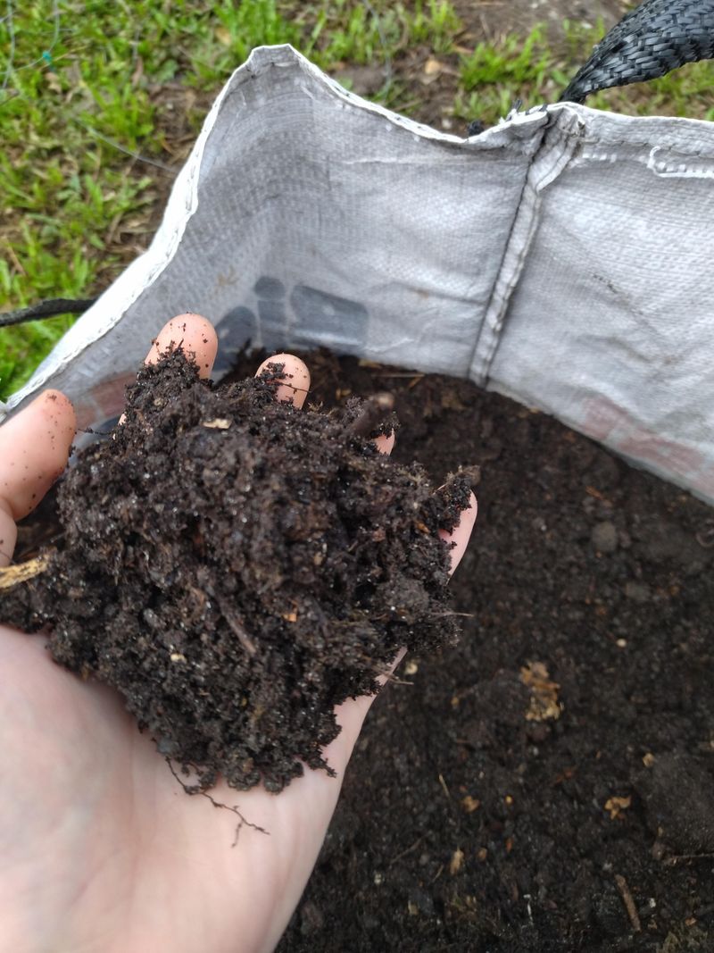 Embrace Organic Gardening