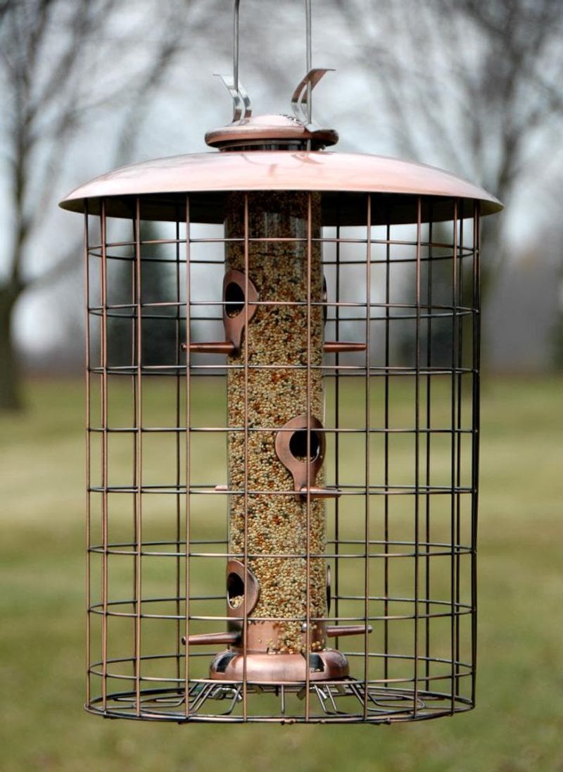 Cage Your Feeders