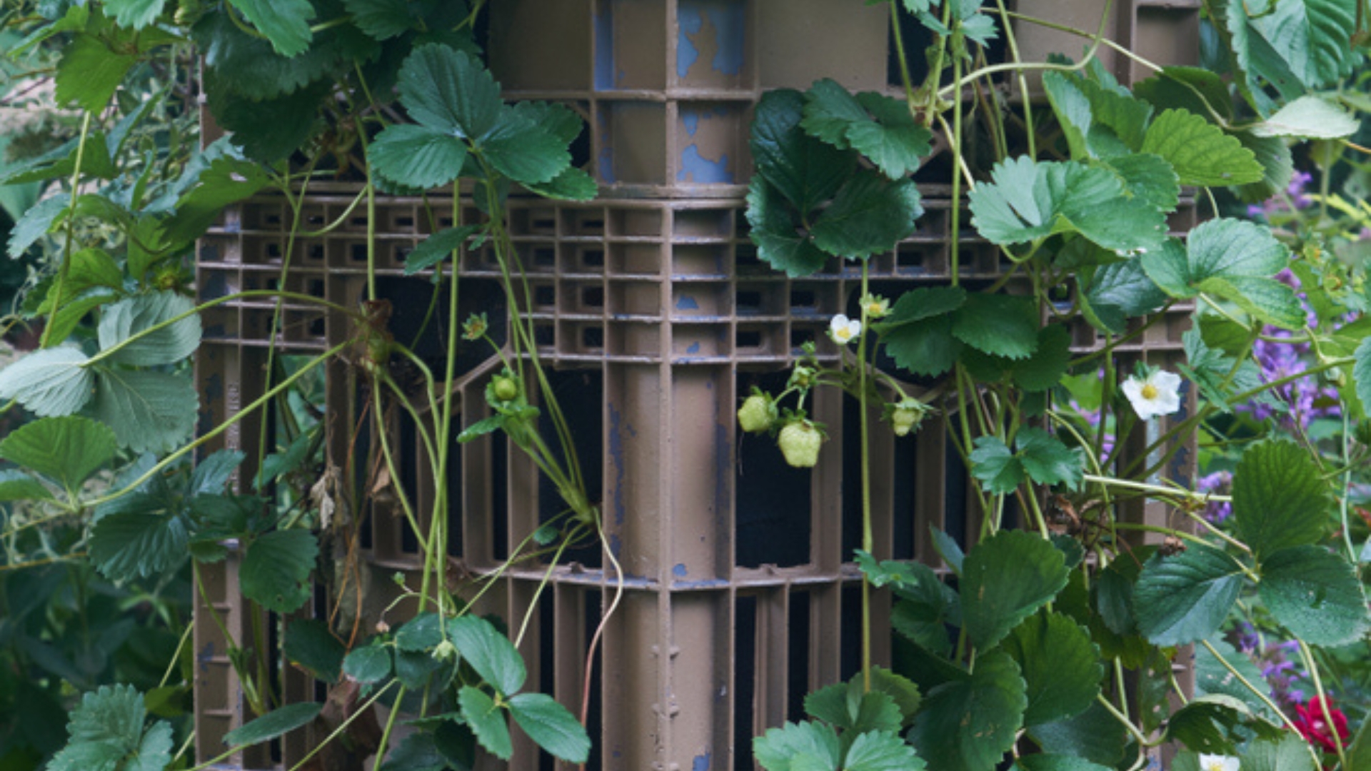 Forget Planters—Milk Crates Are The New Garden Trend (15 Tips To Try)