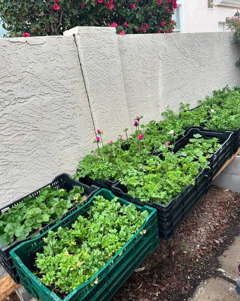 Choosing the Right Crate