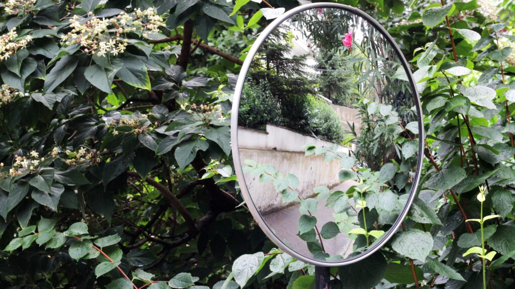 mirror in garden