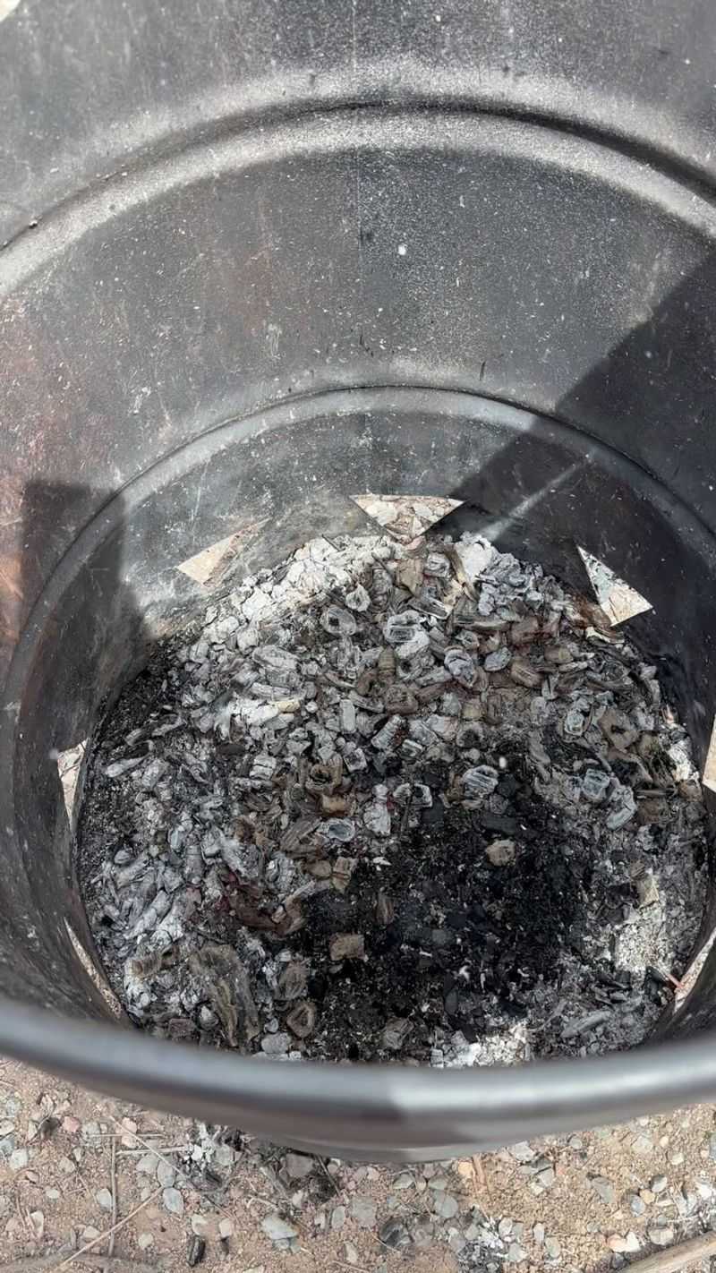 Charcoal Ash Slows Decomposition