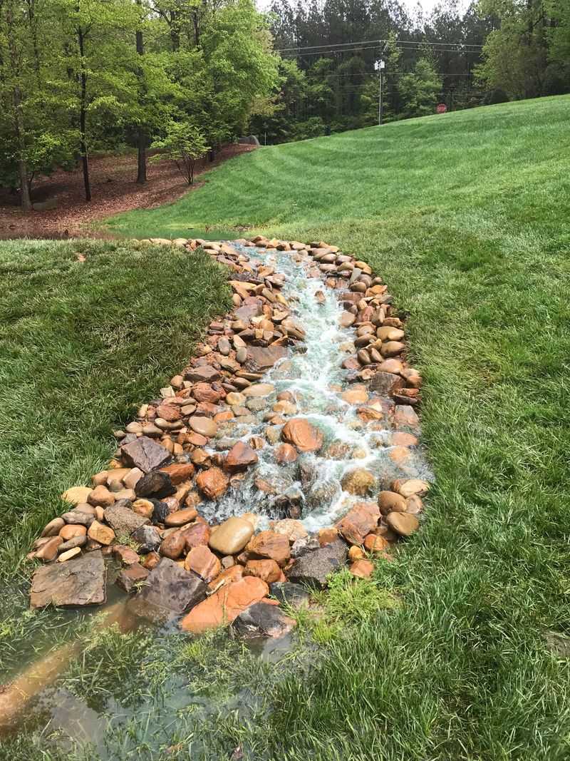 Rock Swale