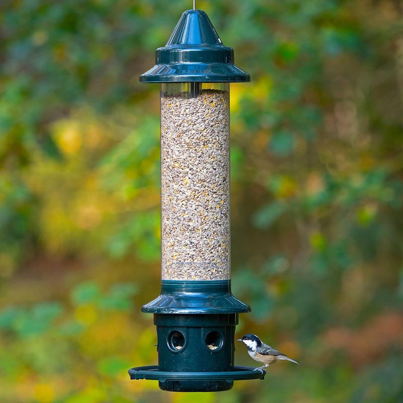 Feeder with Squirrel Deterring Sound