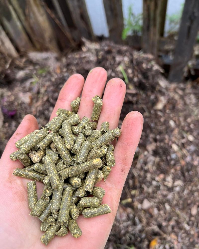 Alfalfa Meal
