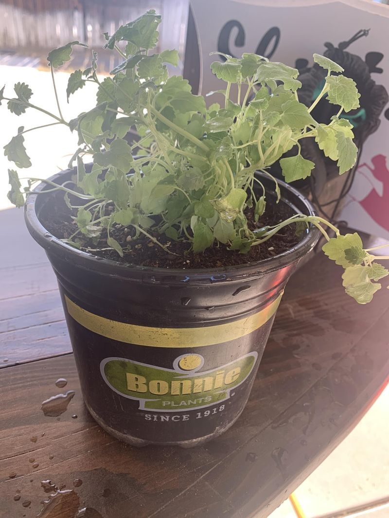 Choose the Right Location