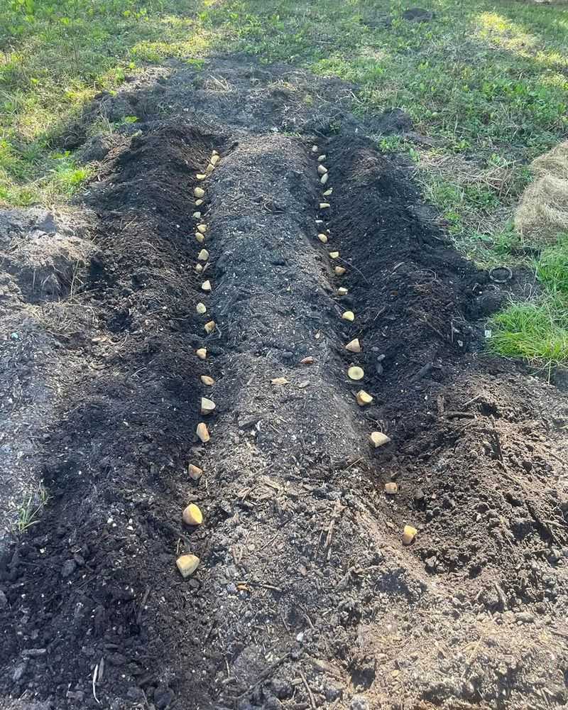 Choose the Right Spot