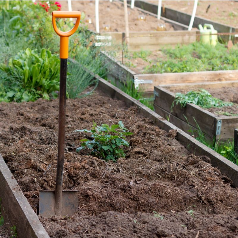 Raised Beds