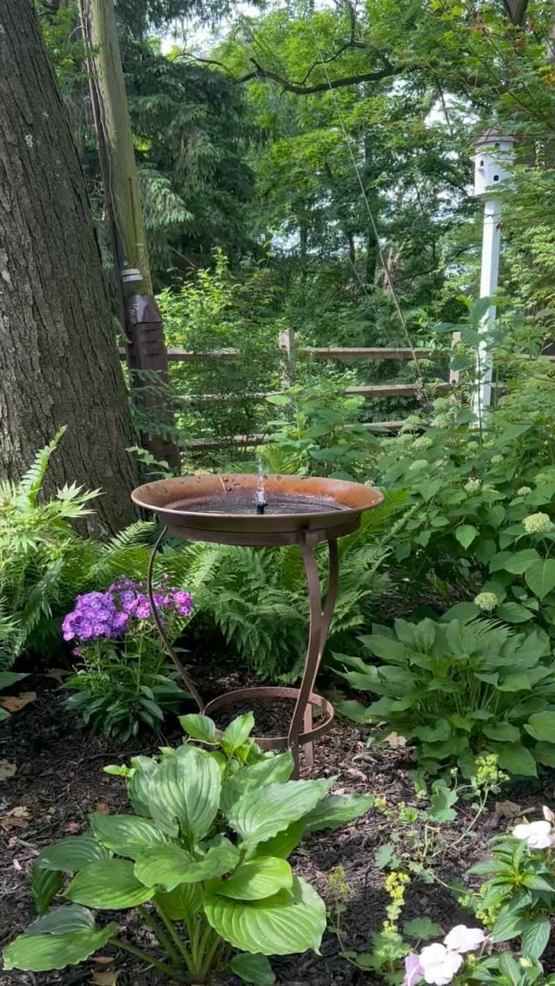 Add A Bird Bath