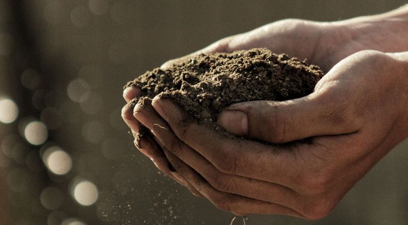 Create Ideal Soil Conditions
