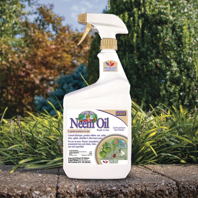 Apply Neem Oil