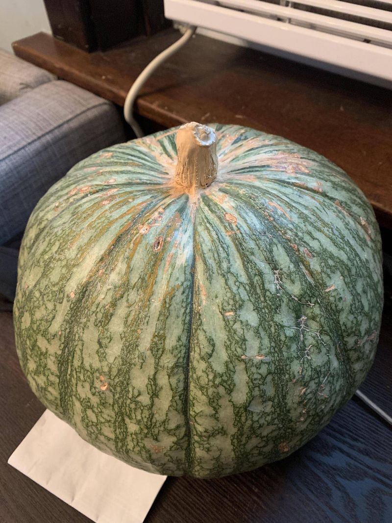 The Mystery of Hollow Pumpkins