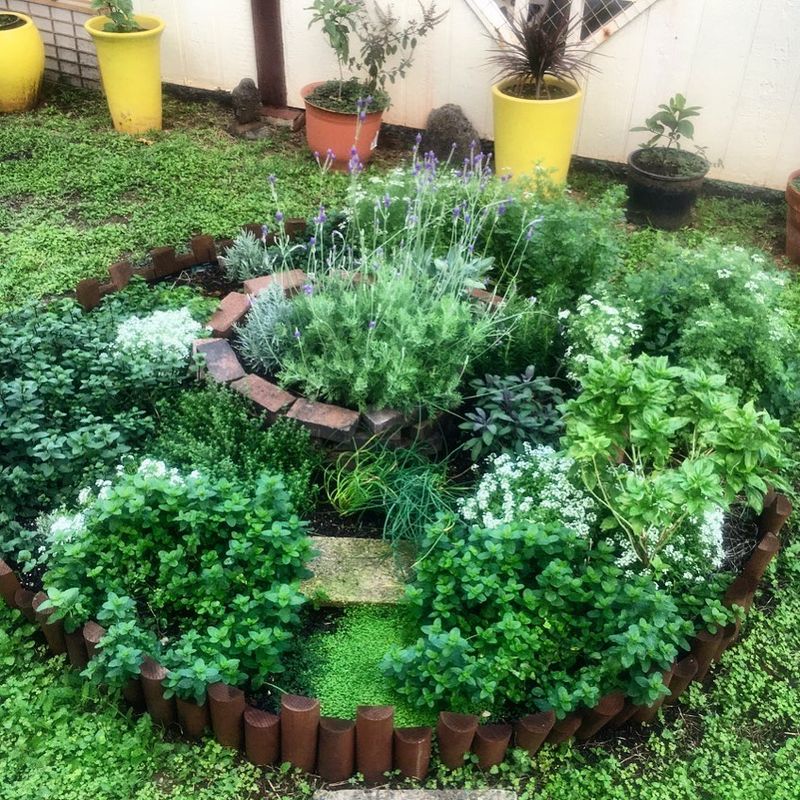 Create A Small Herb Garden
