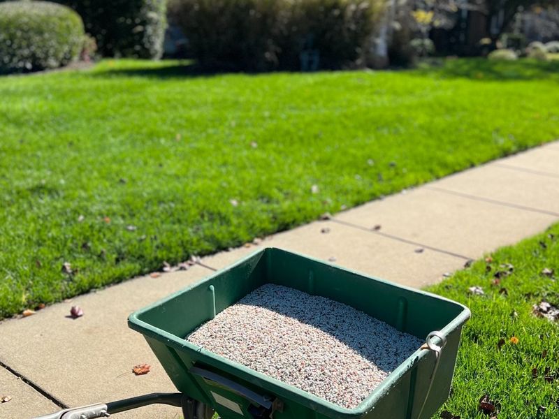Fertilize Lawns
