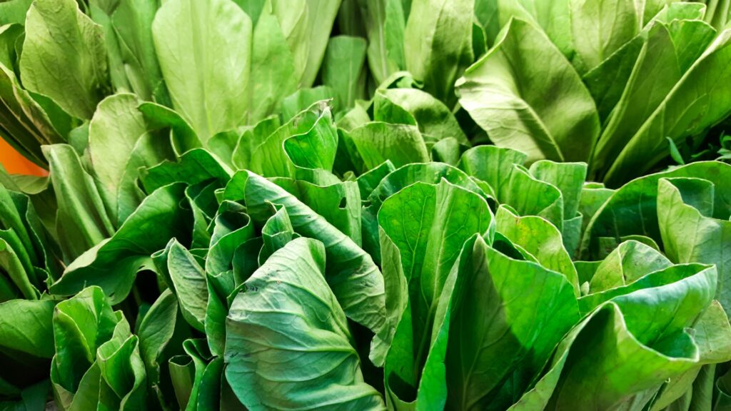 mustard greens