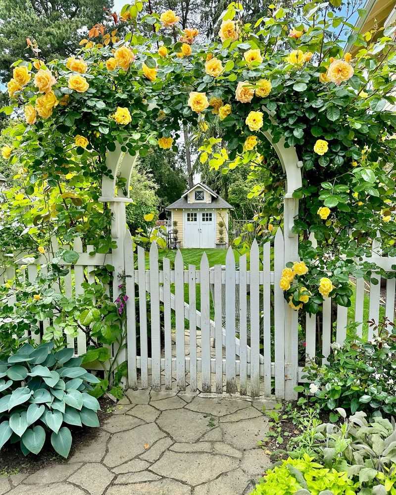 Classic White Picket Arbor