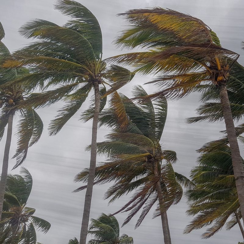 Windy Locations