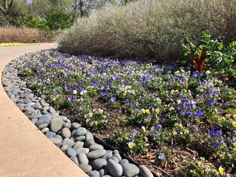 Rock Borders