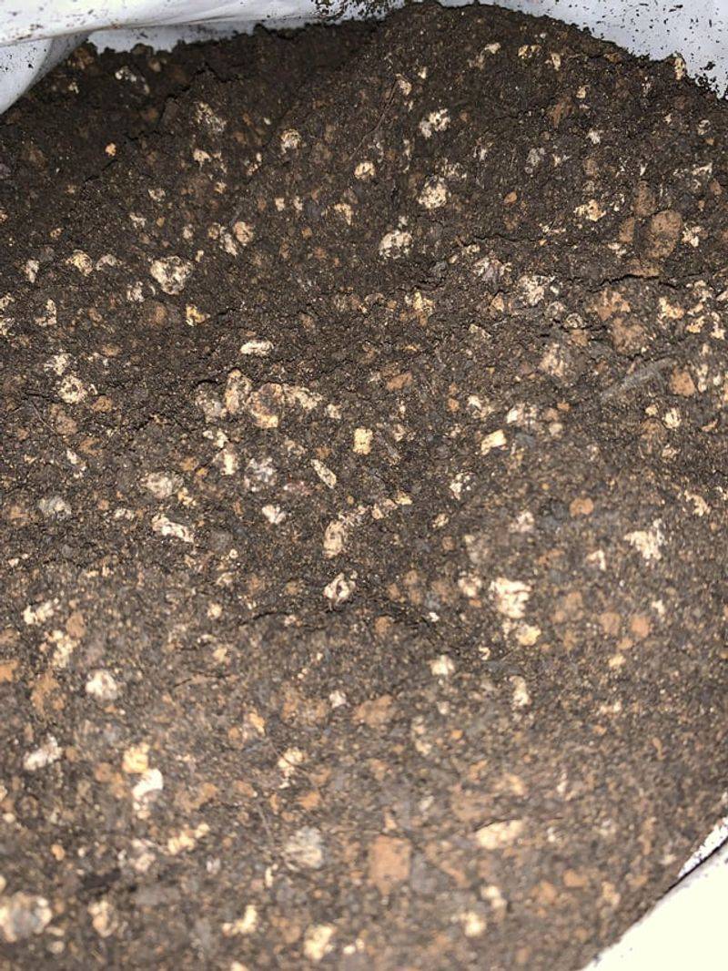 Using Poor Soil